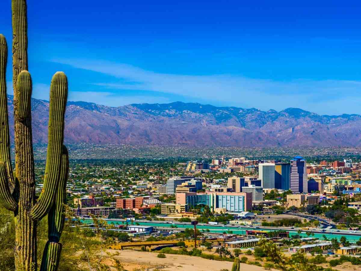 Picture of the valley of Tucson with mountains in the background and a cactus in the left foreground for article Higher Education in Southern Arizona for newcomers moving to Tucson.