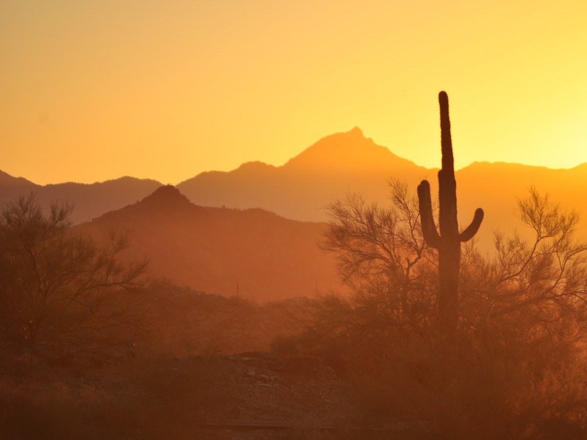 Desert at sunset with cactus in foreground and mountains in background for article What to Expect