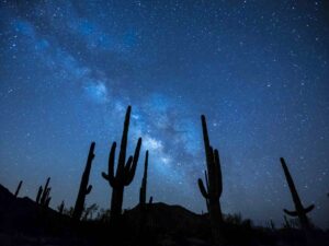 The Famous Saguaro Cactus at night with a background of the sky with a ton stars for article About Tucson for newcomers moving to Tucson.