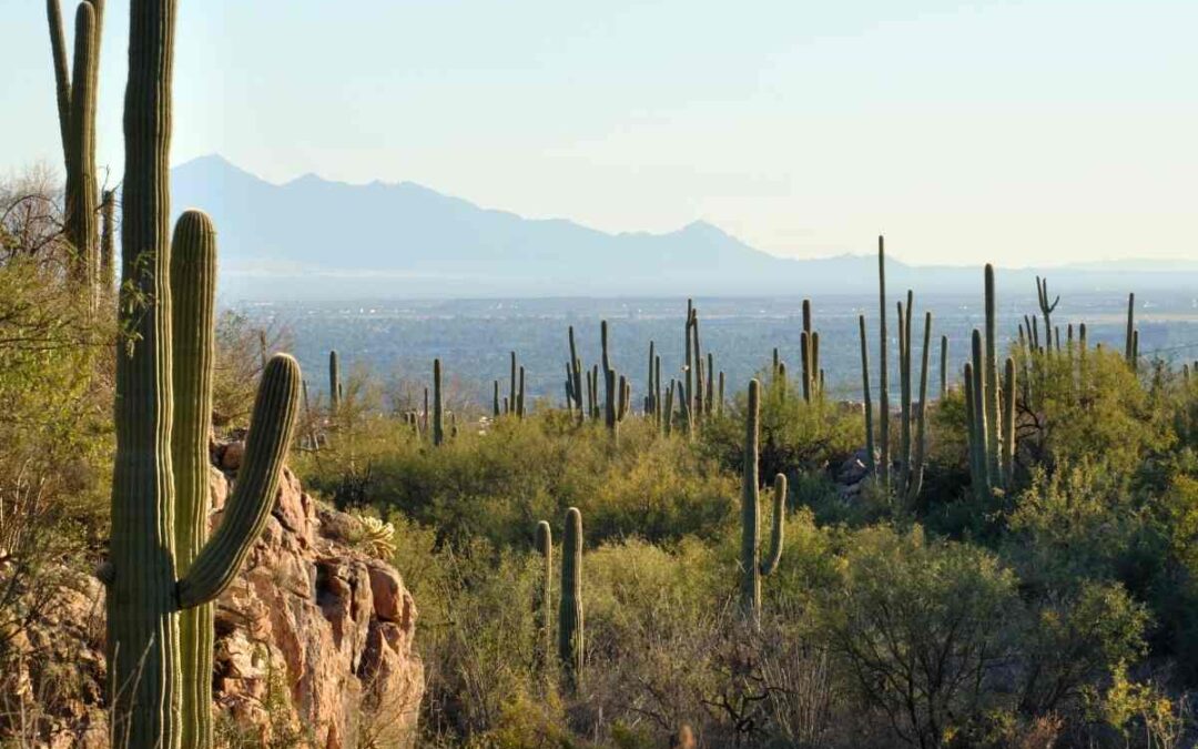 Top 10 Homebuilders in Tucson
