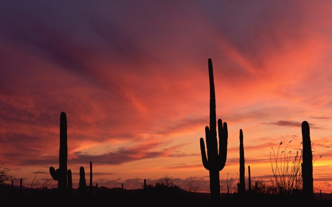 Arizona is Ranked #3: Top States People Moving To
