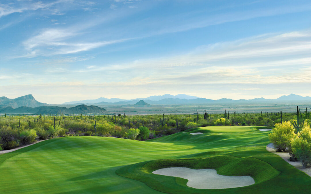 The Clubs of Dove Mountain