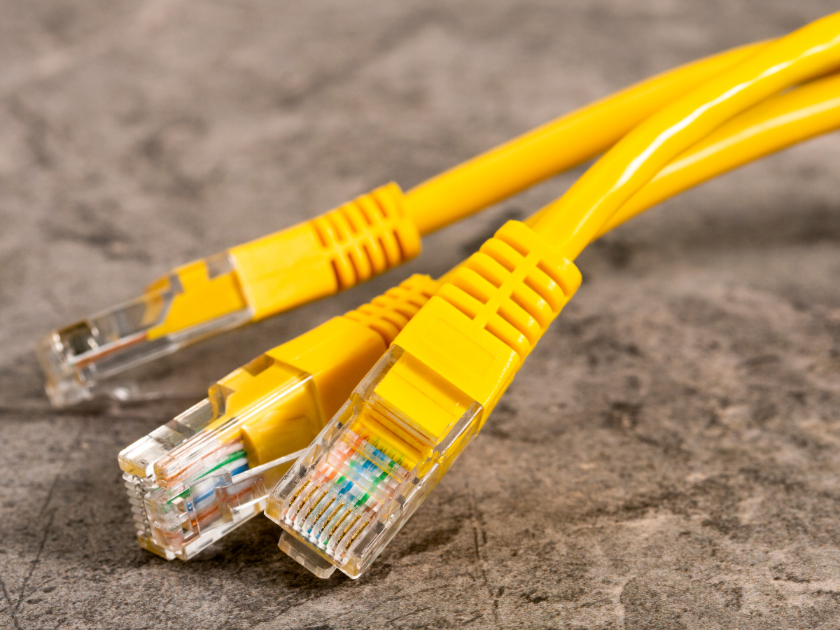 Close up of 3 yellow networking cables.