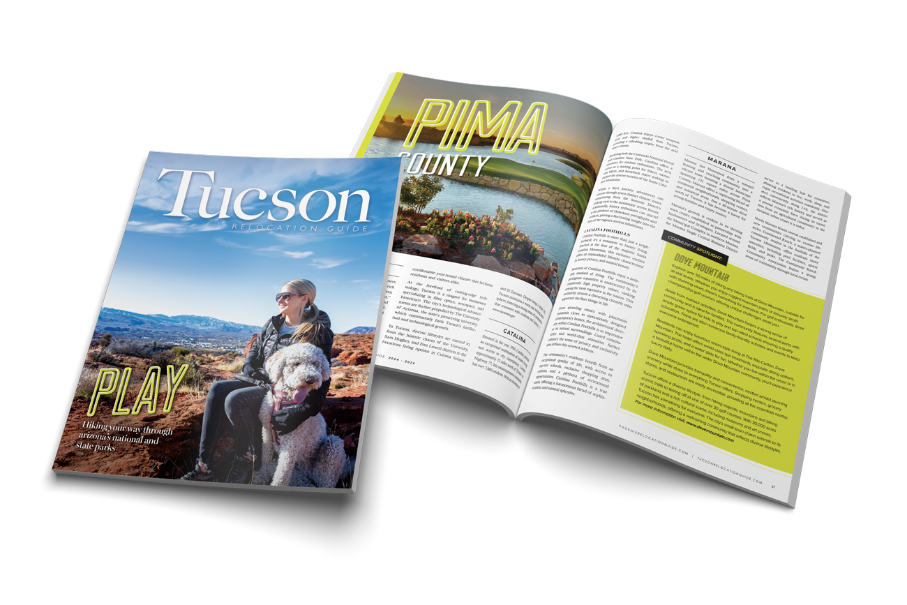 Tucson Magazine layout