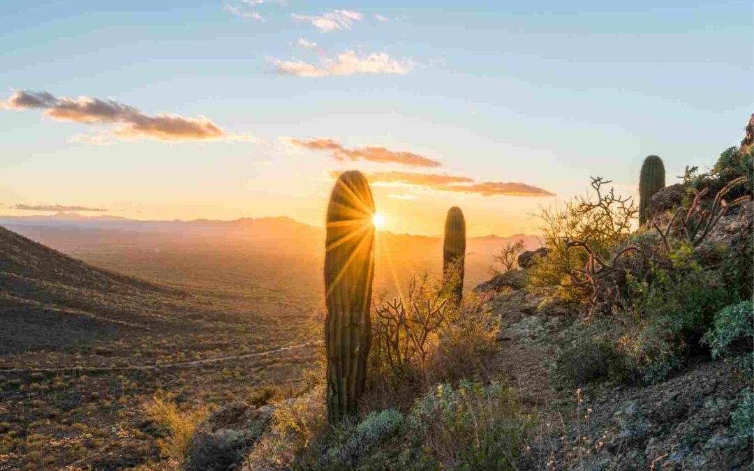 Welcome to Tucson: Rich in Diverse Beauty