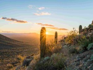 Sun peaking around cactus in the beautiful mountain terrain of Arizona for article Welcome to Tucson: Rich in Diverse Beauty for newcomers moving to Tucson.