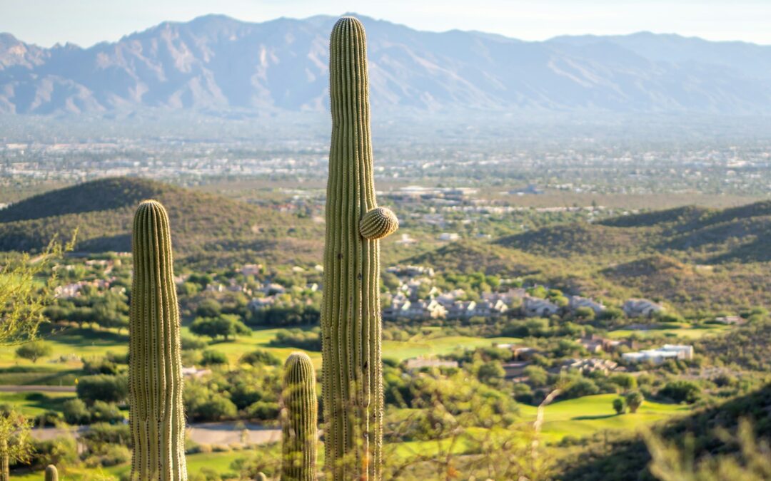 Greater Tucson Suburbs Guide: Where should I live in Tucson