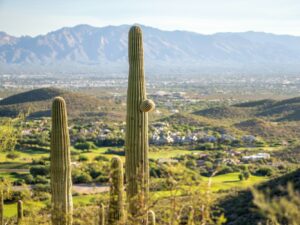 Tucson, AZ. Where should I live in Tucson