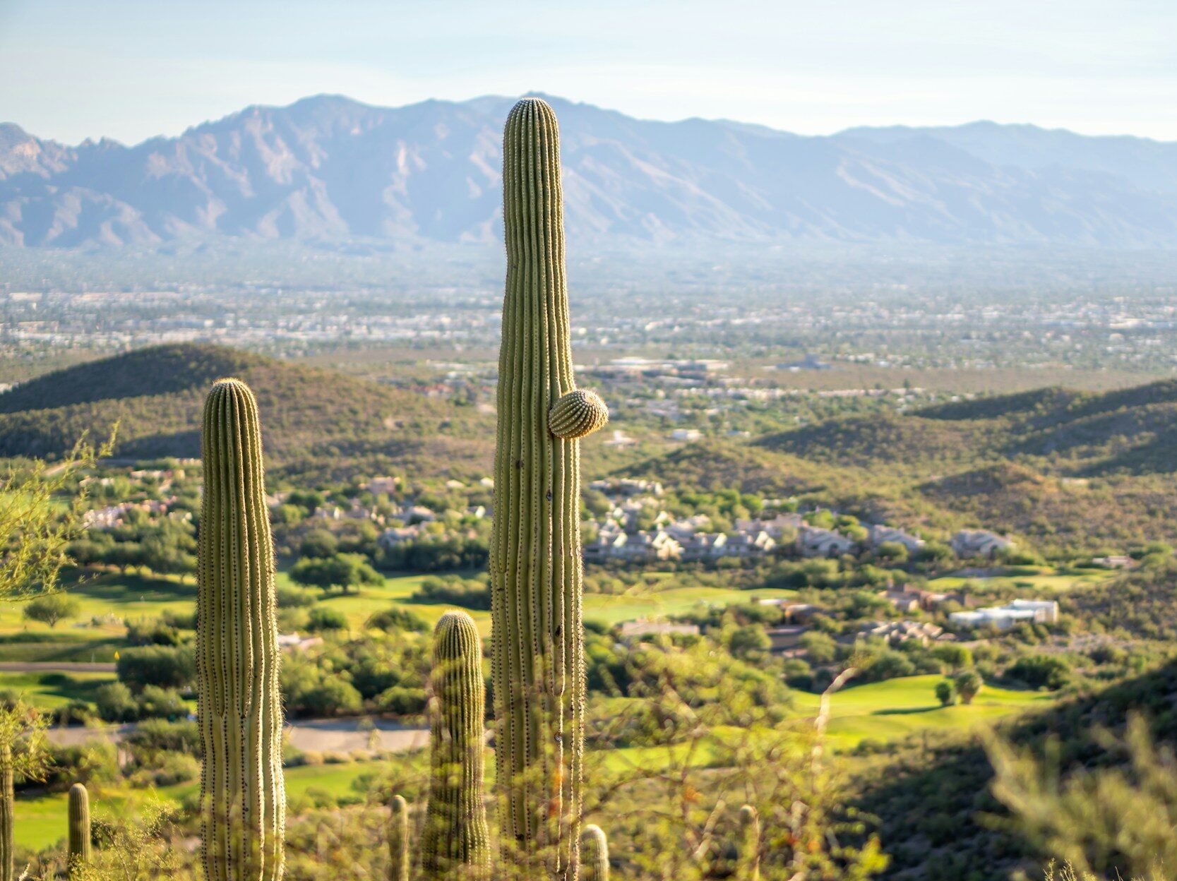 Tucson, AZ. Where should I live in Tucson