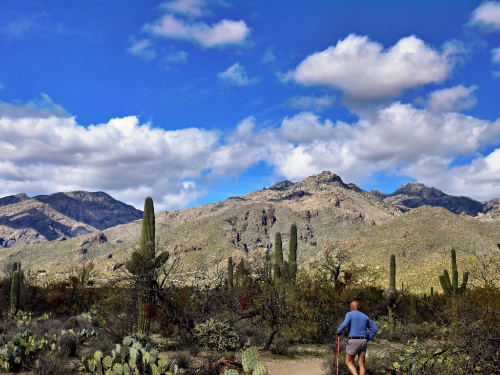 Sabino Canyon Recreation Area, North Sabino Canyon Road, Tucson, AZ, USA. Moving to Tucson